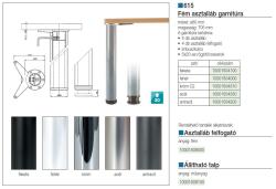 ASZTALLÁB 61570ST04 RN IP 705mm ACÉL, ÁTM: 60mm áll.+30m FÉM 2.Kép