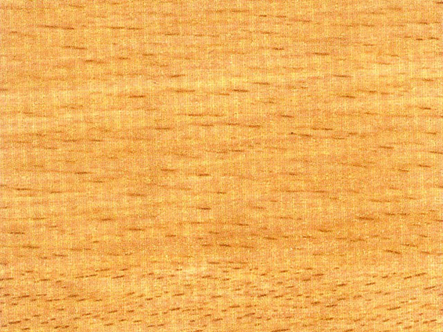 LAMINÁT TÁBLA 44 Faggio CE 4200×1300mm BÜKK DEKORLEMEZ