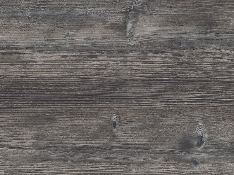 LAMINÁT TÁBLA H1486 ST36 PASADENA FENYŐ 2800x1310x0,8mm