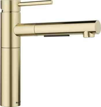 https://geobutor.hu/media_ws/10214/2097/idx/blanco-alta-s-ii-csaptelep-kihuzhato-fejjel-satin-gold-magasnyomasu.jpg